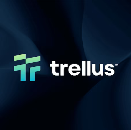 logo portfolio